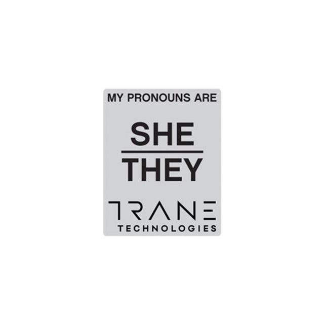 Grey Pronoun Pins She/They Image